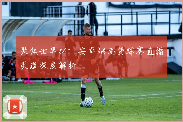 聚焦世界杯：安卓端免费球赛直播渠道深度解析